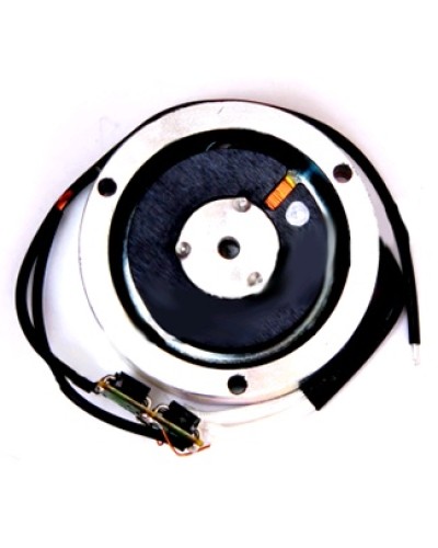 Электромагнит BY1500T Came 119RIY034 в Мурманске Запчасти для шлагбаумов и автоматики Pintop.ru