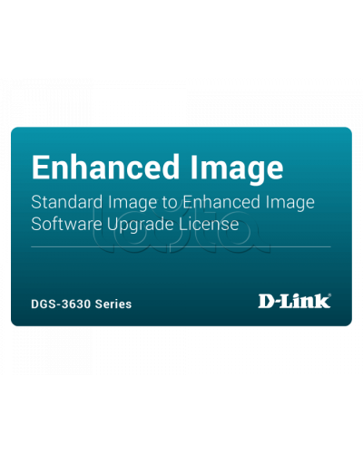 ПО D-Link DGS-3630-28PC-SE-LIC в Мурманске Беспроводное оборудование Pintop.ru
