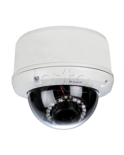 IP-камера видеонаблюдения уличная купольная D-Link DCS-6510/EP в Мурманске IP-камеры Pintop.ru
