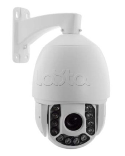 IP-камера видеонаблюдения купольная EverFocus ACE-ATE2033 в Мурманске IP-камеры Pintop.ru