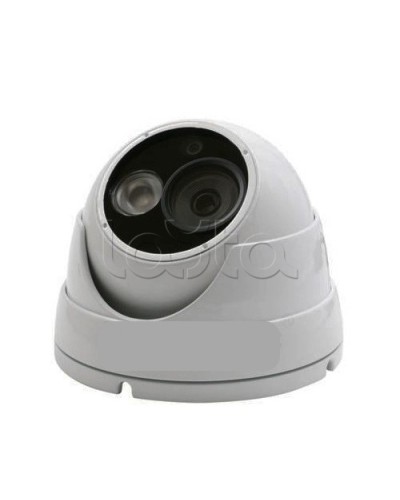IP-камера видеонаблюдения купольная EverFocus ACE-IEB50P в Мурманске IP-камеры Pintop.ru
