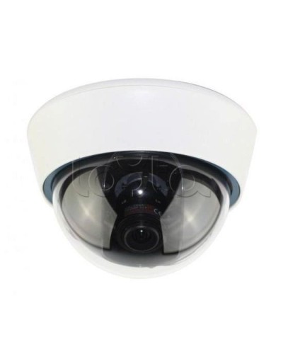 IP-камера видеонаблюдения купольная EverFocus ACE-IOV20A в Мурманске IP-камеры Pintop.ru