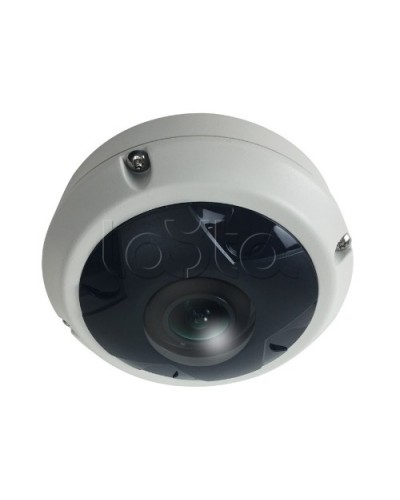 IP-камера видеонаблюдения купольная EverFocus ACE-KU89F в Мурманске IP-камеры Pintop.ru