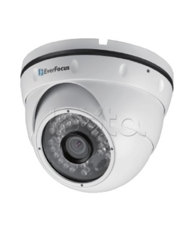 IP-камера видеонаблюдения уличная купольная EverFocus EBN-268 в Мурманске IP-камеры Pintop.ru