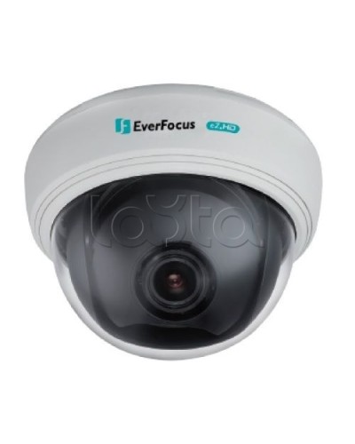 AHD-камера видеонаблюдения купольная EverFocus ED-910F в Мурманске Аналоговые камеры Pintop.ru