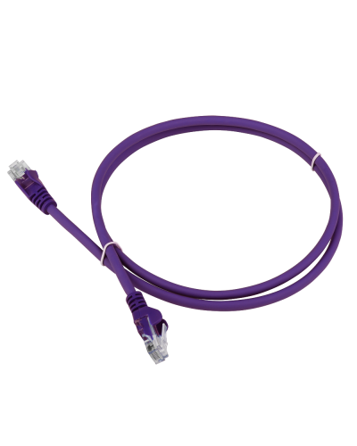 Патч-корд LANMASTER LSZH UTP кат.5e, 0.3 м, фиолетовый LANMASTER LAN-PC45/U5E-0.3-VI в Мурманске Патчкорды (медные) Pintop.ru