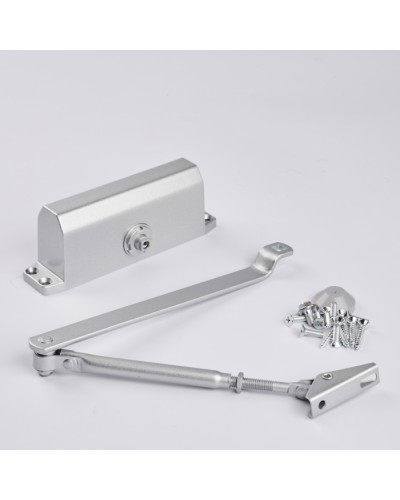 Доводчик R-Lock RL-DCM-EN3-00S в Мурманске Доводчики Pintop.ru