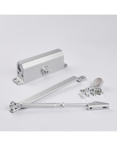 Доводчик R-Lock RL-DCM-EN4-00S в Мурманске Доводчики Pintop.ru