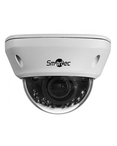 IP-камера видеонаблюдения купольная Smartec STC-IPM5591/1 в Мурманске IP-камеры Pintop.ru