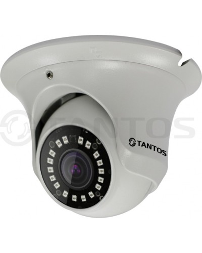 IP-камера видеонаблюдения купольная Tantos TSi-Ee25FP (2.8) в Мурманске IP-камеры Pintop.ru