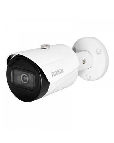 IP-камера видеонаблюдения в стандартном исполнении Болид VCI-122 в Мурманске IP-камеры Pintop.ru